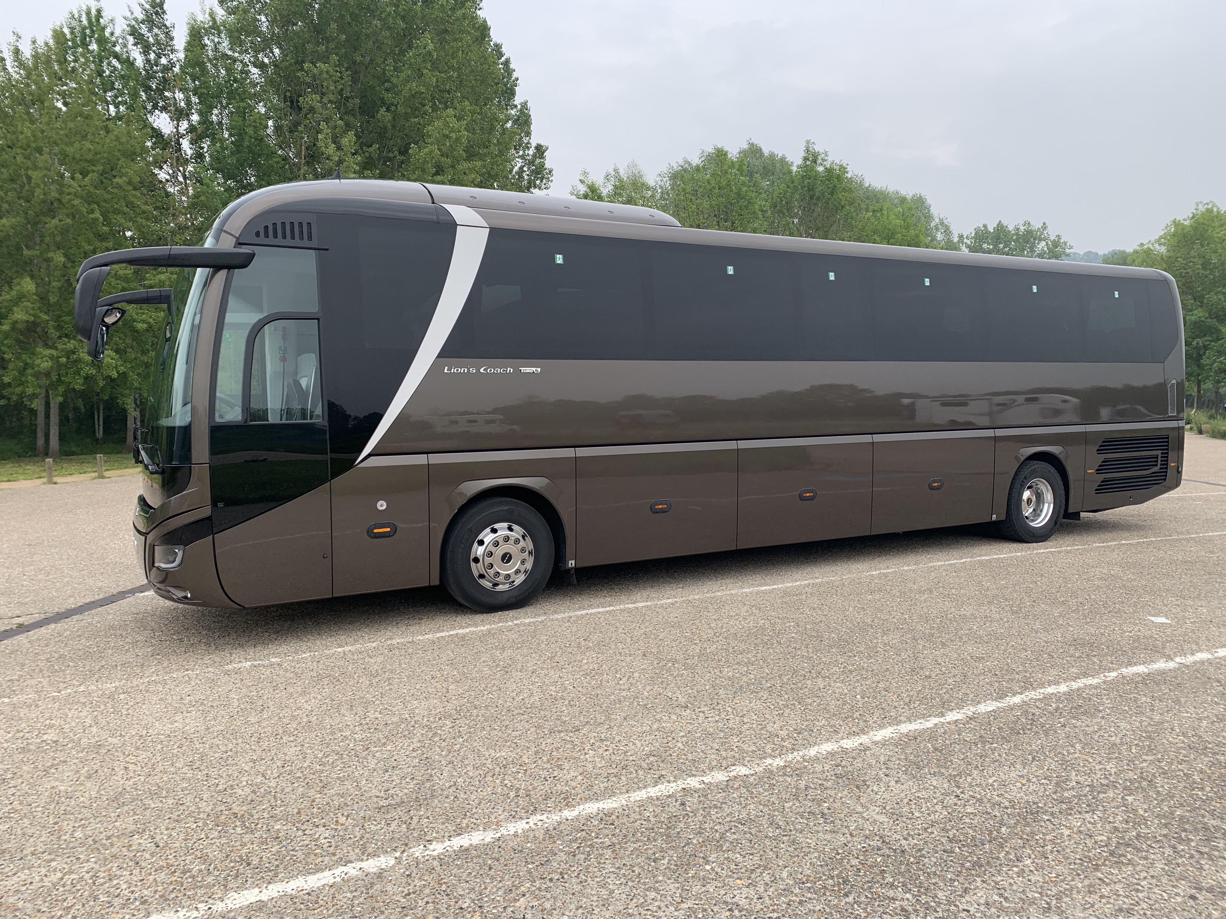 MAN LION'S COACH EURO 6